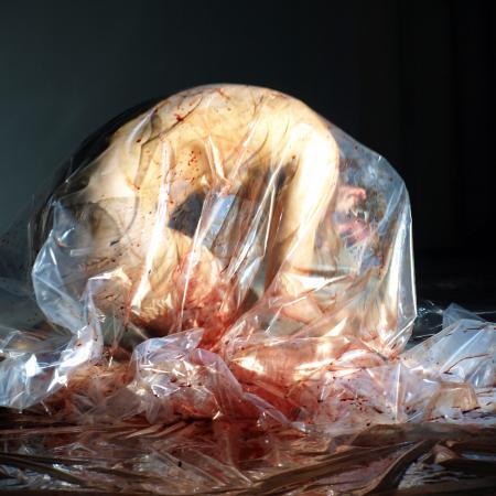 Performance Mímesis del genoma humano Manuel Pereda en la placenta pulsaciones