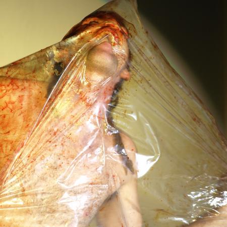 Performance Mímesis del genoma humano Manuel Pereda feto rompiendo aguas